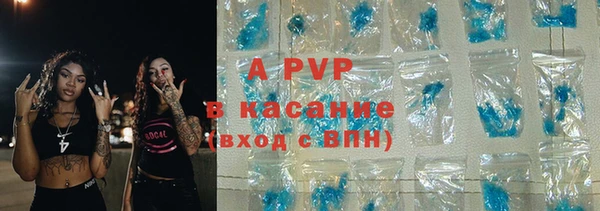 бошки Данков