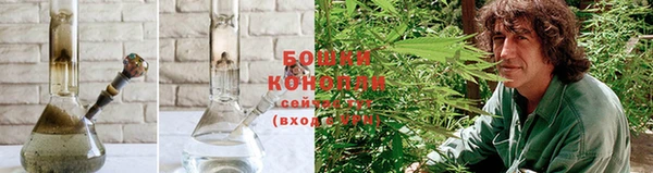 шишки Дедовск
