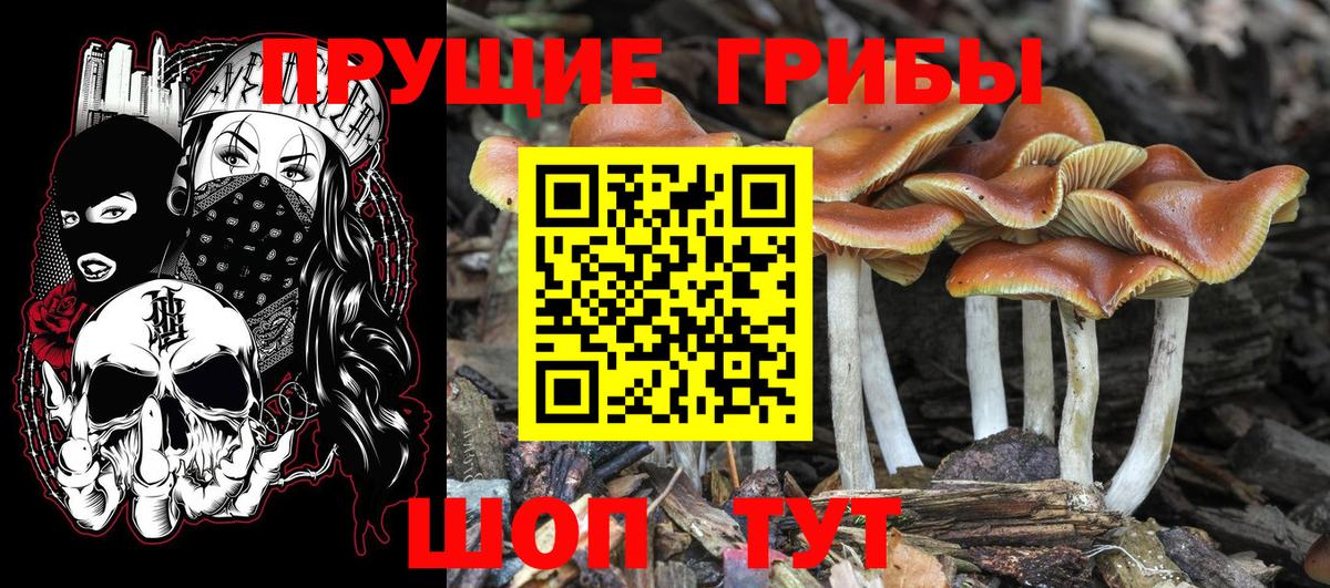 Меф мяу мяу Карталы