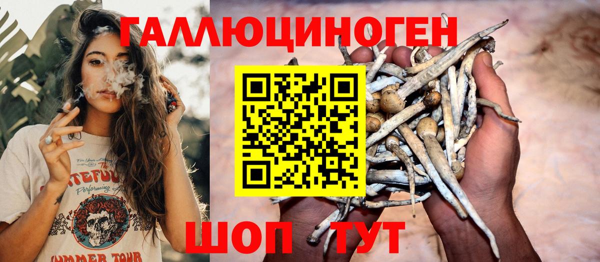 Купить наркотики цена  КОКАИН  Хэш  Вход с VPN  Карталы  МЕФ  Гарик  МЕФ  Марихуана  АМФЕТАМИН 