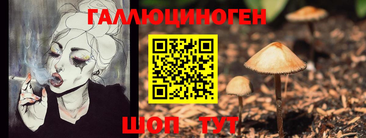 Карталы  Галлюциногенные грибы GOLDEN TEACHER  Вход с VPN 