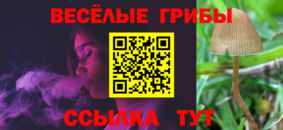 Карталы  Галлюциногенные грибы Cubensis  Вход с VPN 